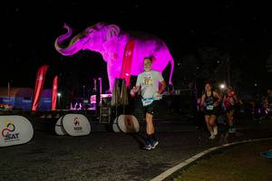 BIB: 
                            <button type="button" onclick="openModal(26534817)" class="btn btn-primary btn-sm float-right btn-popup" data-toggle="modal" data-target=".modal-high-quality">
                        <i class="fas fa-shopping-cart"></i> Add to Cart
                    </button>
                                            <button type="button" onclick="isThisMe(26534817, true)" class="btn btn-success btn-sm float-right btn-popup btn-isme hidden" data-toggle="tooltip" data-placement="bottom" title="นี่คือรูปของคุณใช่ไหม คลิกที่นี่เพื่อเอาเข้าอัลบั้ม">
                        <i class="fas fa-plus"></i> Add to album
                    </button>
                    <button type="button" onclick="isThisMe(26534817, false)" class="btn btn-warning btn-sm float-right btn-popup btn-isnotme hidden">
                        <i class="fas fa-ban"></i> Remove from album
                    </button>